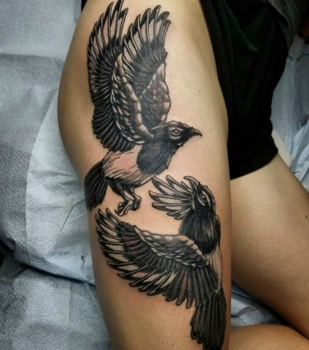 Tattoos - Cody Cook Magpie - 142971